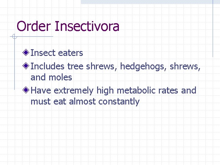 Order Insectivora Insect eaters Includes tree shrews, hedgehogs, shrews, and moles Have extremely high