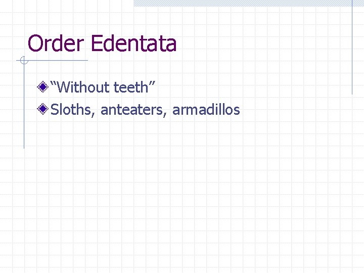 Order Edentata “Without teeth” Sloths, anteaters, armadillos 
