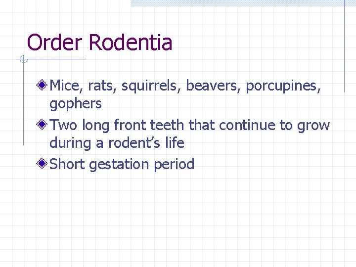 Order Rodentia Mice, rats, squirrels, beavers, porcupines, gophers Two long front teeth that continue