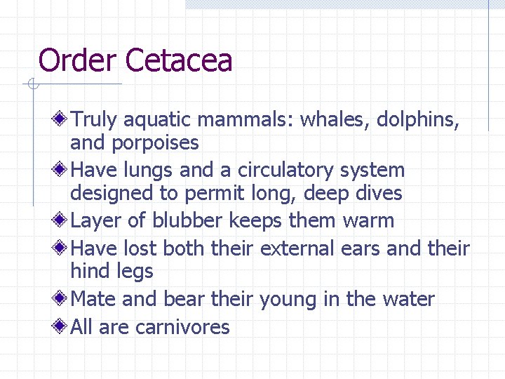 Order Cetacea Truly aquatic mammals: whales, dolphins, and porpoises Have lungs and a circulatory