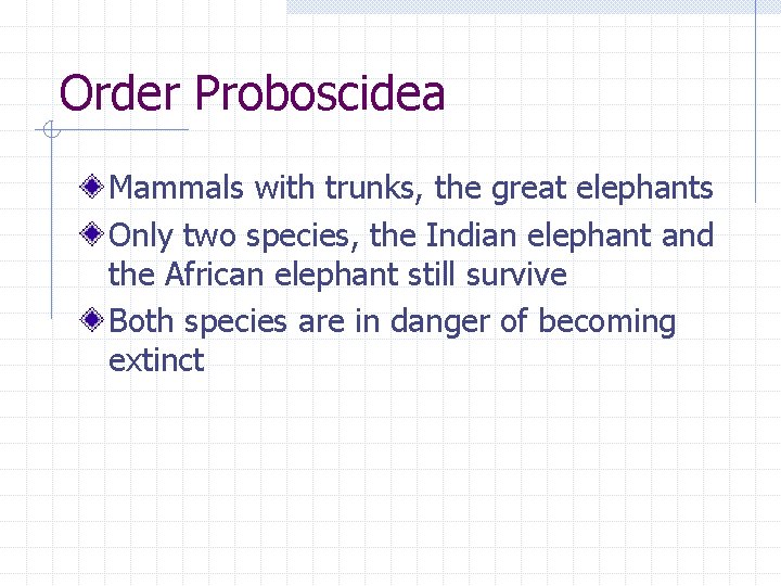 Order Proboscidea Mammals with trunks, the great elephants Only two species, the Indian elephant