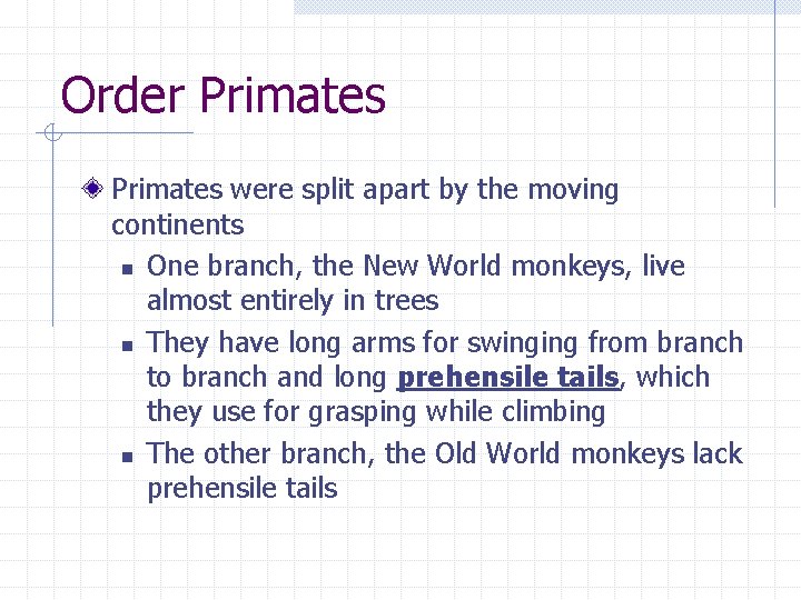 Order Primates were split apart by the moving continents n One branch, the New