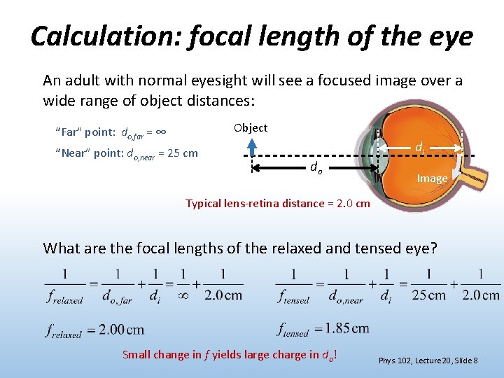 Calculation: focal length of the eye An adult with normal eyesight will see a