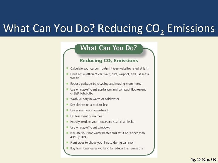 What Can You Do? Reducing CO 2 Emissions Fig. 19 -19, p. 519 