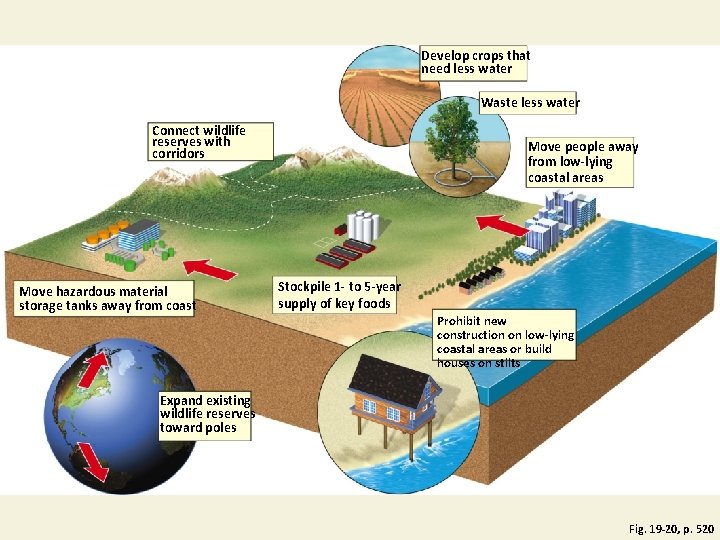 Develop crops that need less water Waste less water Connect wildlife reserves with corridors