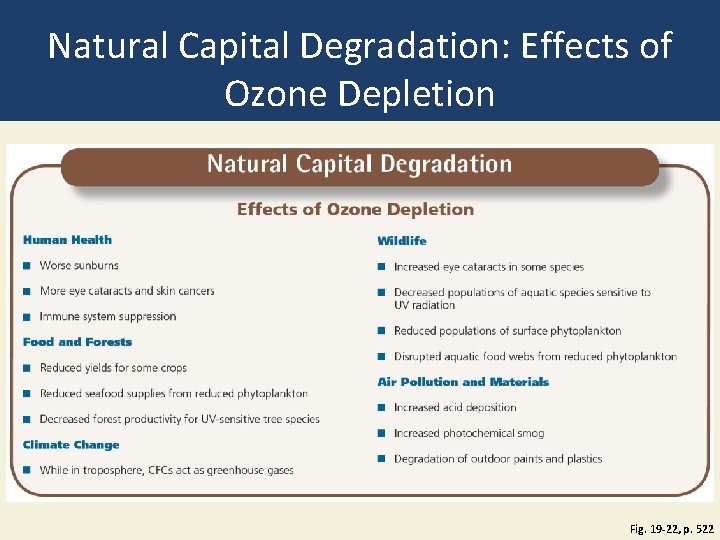 Natural Capital Degradation: Effects of Ozone Depletion Fig. 19 -22, p. 522 