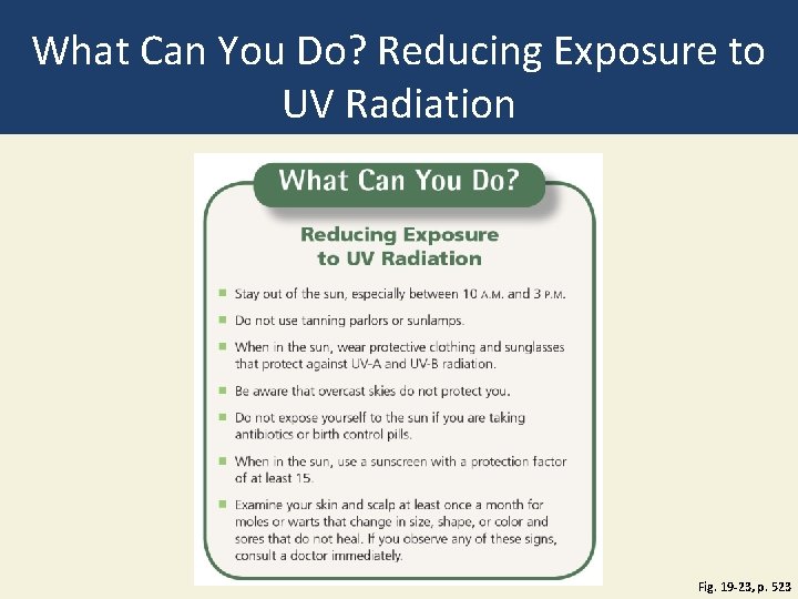 What Can You Do? Reducing Exposure to UV Radiation Fig. 19 -23, p. 523