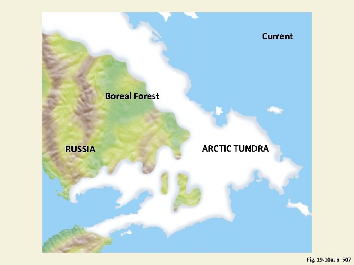 Current Boreal Forest RUSSIA ARCTIC TUNDRA Fig. 19 -10 a, p. 507 