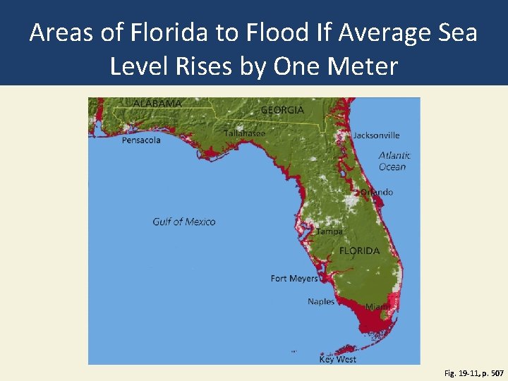 Areas of Florida to Flood If Average Sea Level Rises by One Meter Fig.