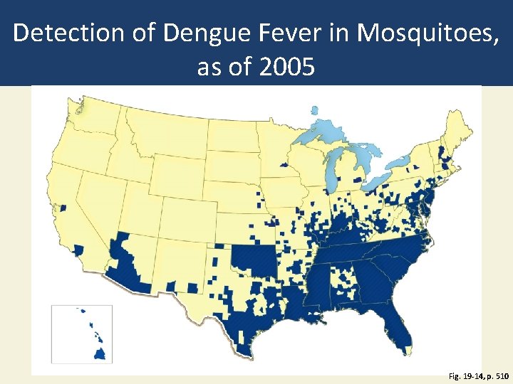 Detection of Dengue Fever in Mosquitoes, as of 2005 Fig. 19 -14, p. 510