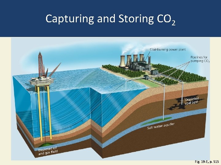 Capturing and Storing CO 2 Fig. 19 -E, p. 515 