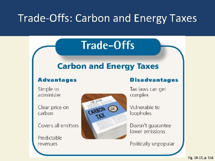 Trade-Offs: Carbon and Energy Taxes Fig. 19 -17, p. 516 