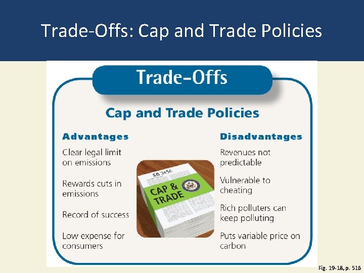 Trade-Offs: Cap and Trade Policies Fig. 19 -18, p. 516 