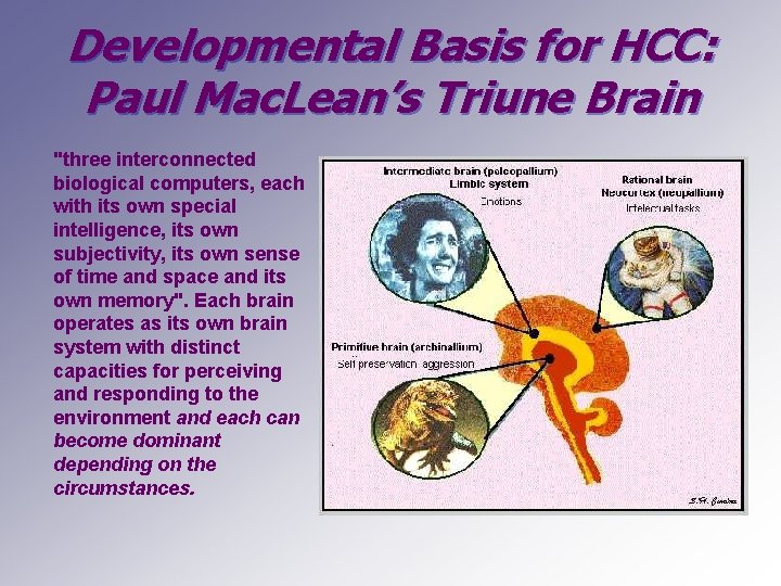 Developmental Basis for HCC: Paul Mac. Lean’s Triune Brain "three interconnected biological computers, each