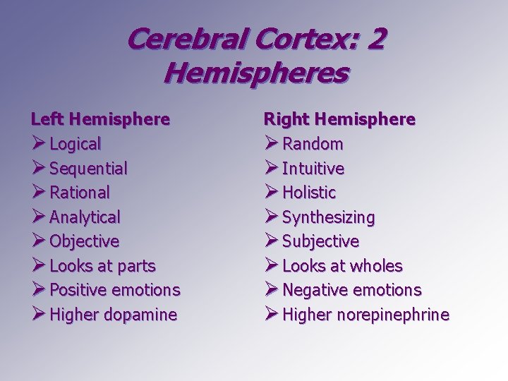 Cerebral Cortex: 2 Hemispheres Left Hemisphere Ø Logical Ø Sequential Ø Rational Ø Analytical