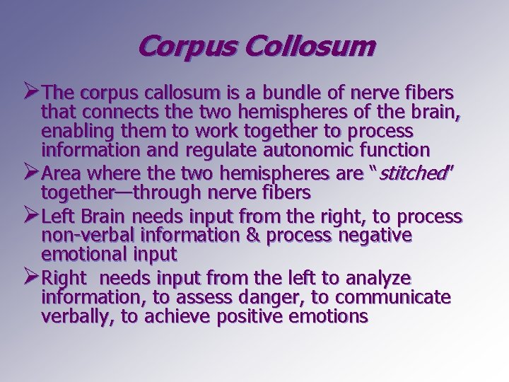 Corpus Collosum ØThe corpus callosum is a bundle of nerve fibers that connects the