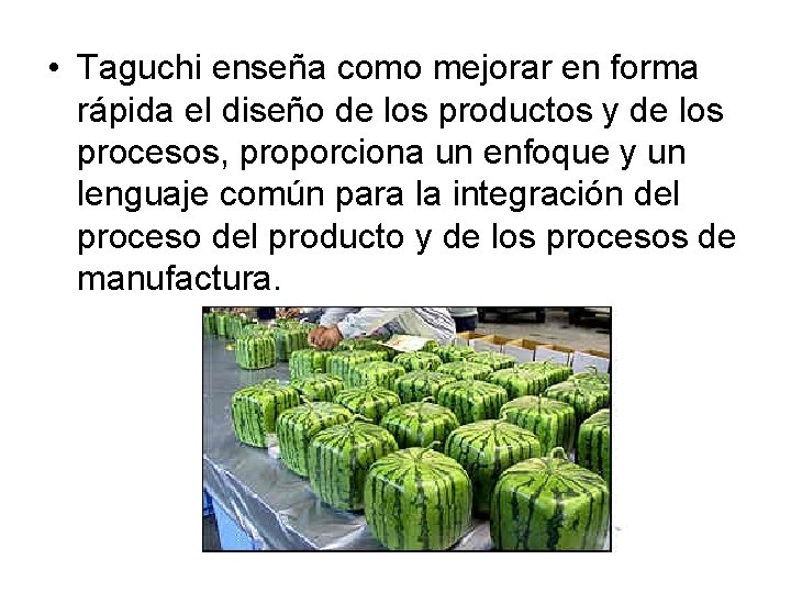  • Taguchi enseña como mejorar en forma rápida el diseño de los productos