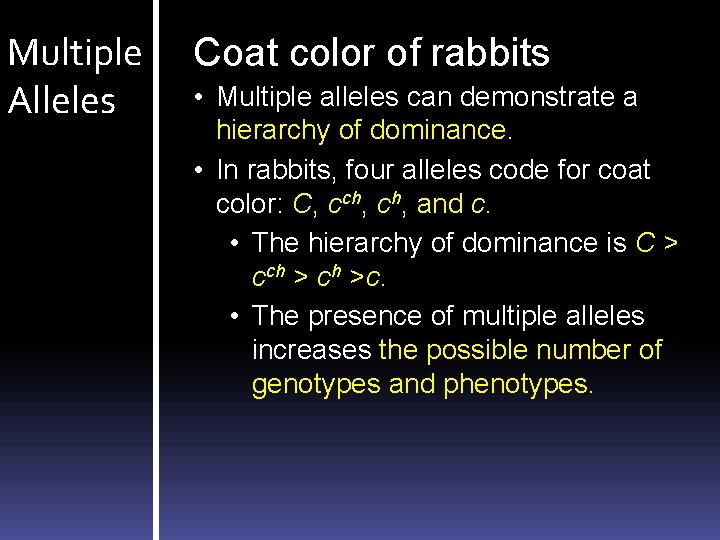 Multiple Alleles Coat color of rabbits • Multiple alleles can demonstrate a hierarchy of