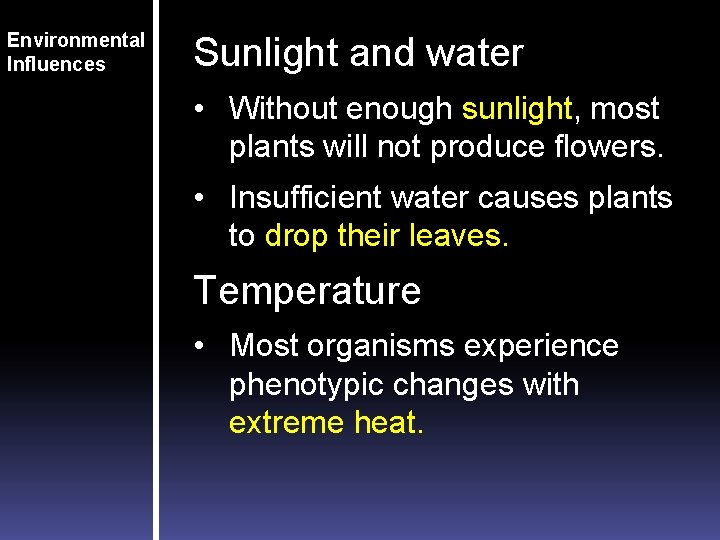 Environmental Influences Sunlight and water • Without enough sunlight, most plants will not produce
