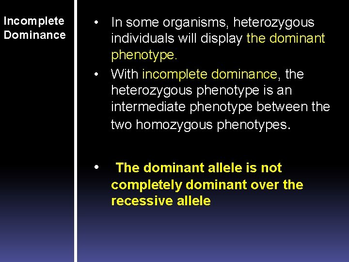 Incomplete Dominance • In some organisms, heterozygous individuals will display the dominant phenotype. •