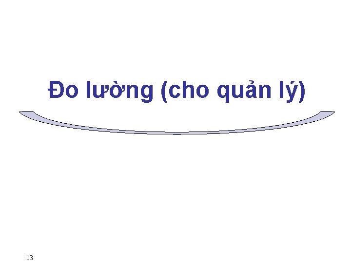 Đo lường (cho quản lý) 13 