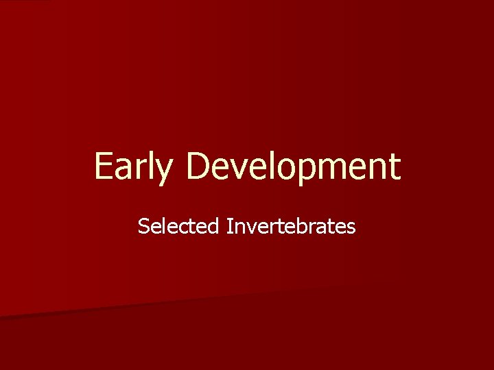 Early Development Selected Invertebrates 