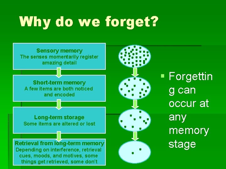 Why do we forget? Sensory memory The senses momentarily register amazing detail Short-term memory