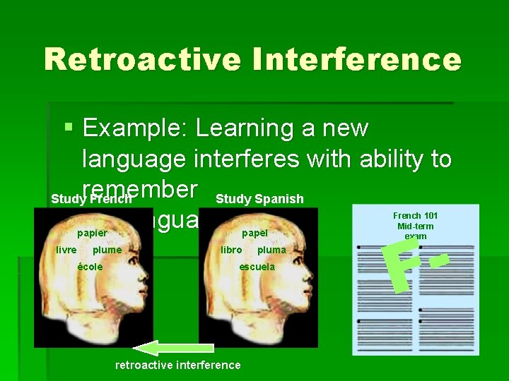 Retroactive Interference § Example: Learning a new language interferes with ability to Studyremember French