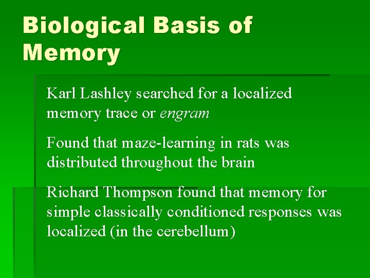 Biological Basis of Memory Karl Lashley searched for a localized memory trace or engram