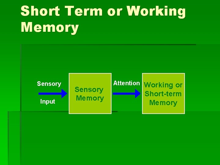 Short Term or Working Memory Sensory Input Sensory Memory Attention Working or Short-term Memory