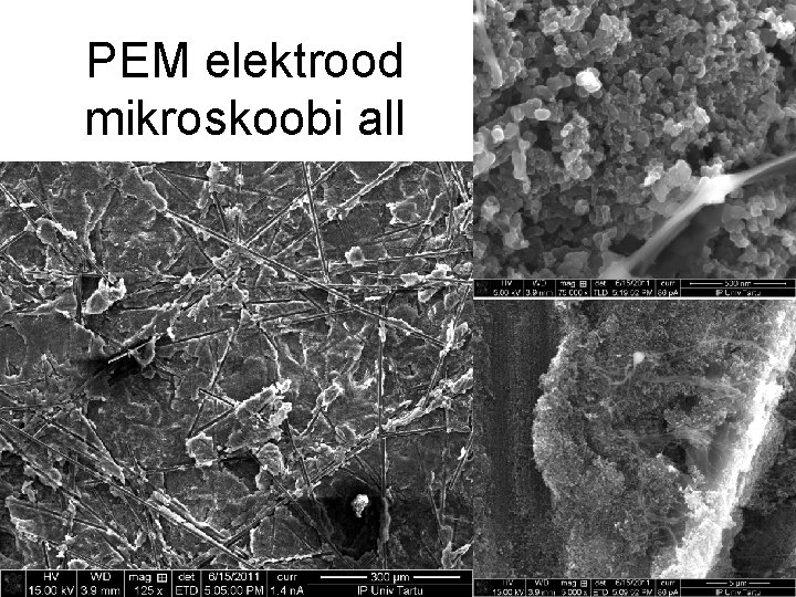 PEM elektrood mikroskoobi all 