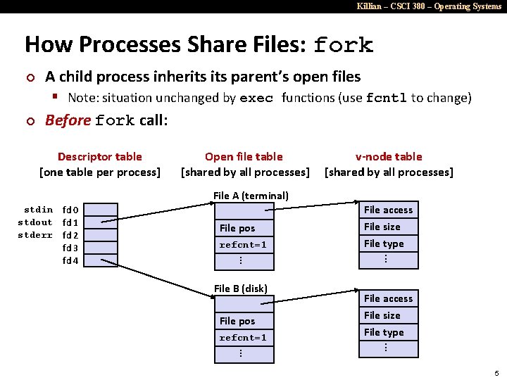 Killian – CSCI 380 – Operating Systems How Processes Share Files: fork ¢ A