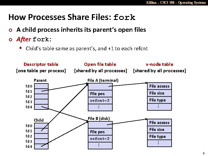 Killian – CSCI 380 – Operating Systems How Processes Share Files: fork ¢ ¢