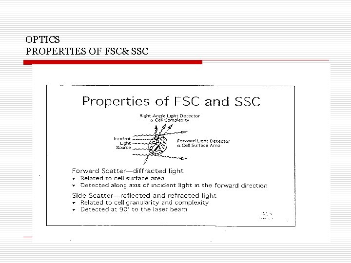 OPTICS PROPERTIES OF FSC& SSC 