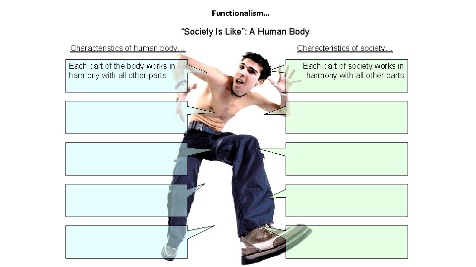 Functionalism… “Society Is Like”: A Human Body Characteristics of human body… Each part of
