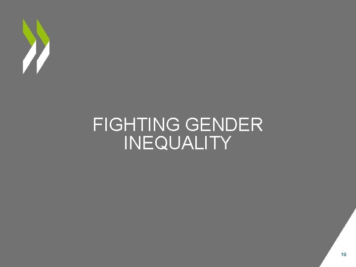 FIGHTING GENDER INEQUALITY 19 