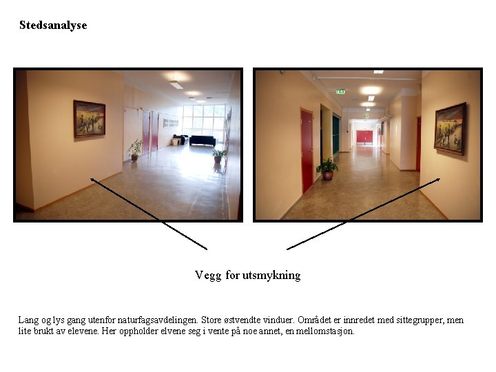 Stedsanalyse Vegg for utsmykning Lang og lys gang utenfor naturfagsavdelingen. Store østvendte vinduer. Området