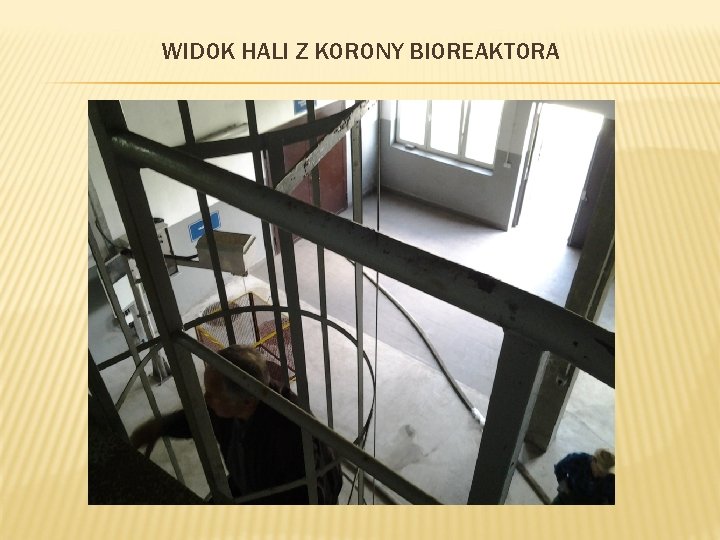 WIDOK HALI Z KORONY BIOREAKTORA 