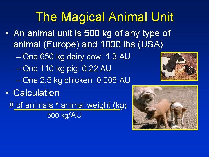 The Magical Animal Unit • An animal unit is 500 kg of any type
