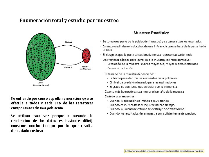 Enumeración total y estudio por muestreo Se entiende por censo aquella numeración que se