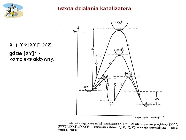 Istota działania katalizatora X + Y [XY]* Z gdzie [XY]* - kompleks aktywny. 