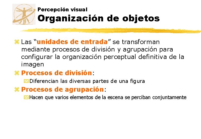 Percepción visual Organización de objetos z Las “unidades de entrada” se transforman mediante procesos