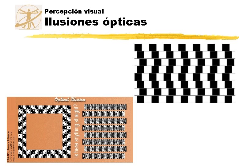 Percepción visual Ilusiones ópticas 