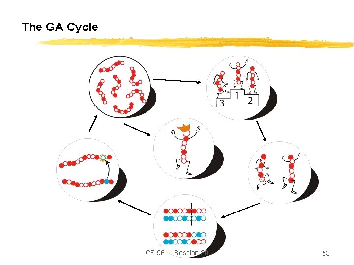 The GA Cycle CS 561, Session 30 53 