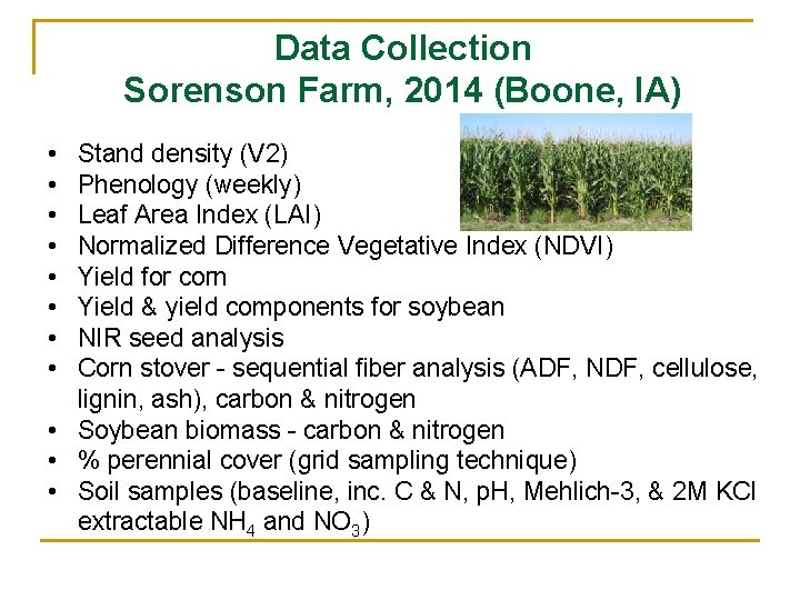 Data Collection Sorenson Farm, 2014 (Boone, IA) • • Stand density (V 2) Phenology