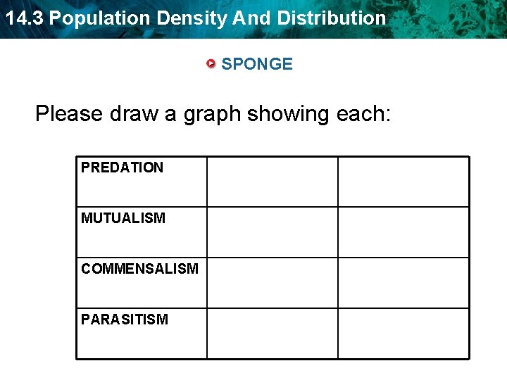 14. 3 Population Density And Distribution SPONGE Please draw a graph showing each: PREDATION