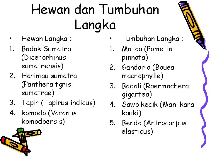 Hewan dan Tumbuhan Langka • 1. Hewan Langka : Badak Sumatra (Dicerorhinus sumatrensis) 2.