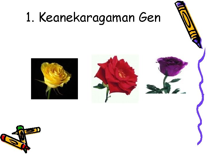 1. Keanekaragaman Gen 