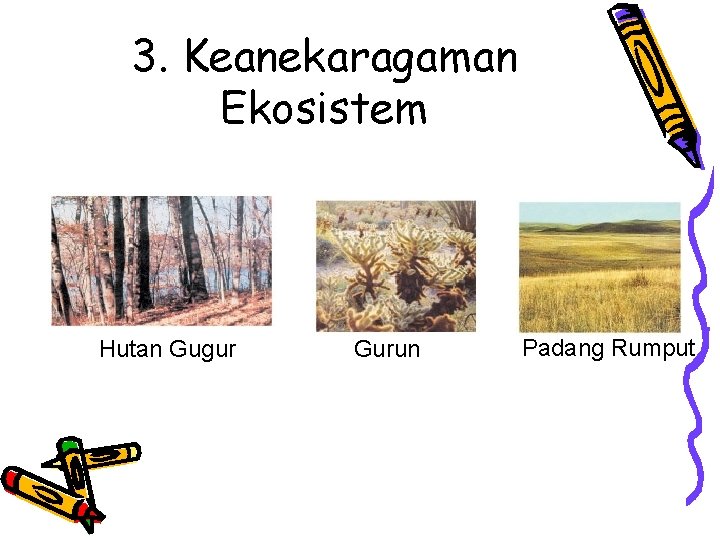 3. Keanekaragaman Ekosistem Hutan Gugur Gurun Padang Rumput 