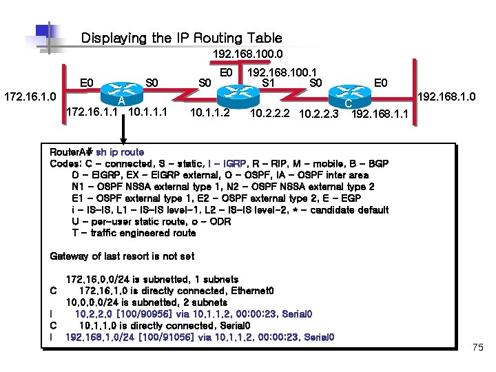 Displaying the IP Routing Table 192. 168. 100. 0 E 0 172. 16. 1.